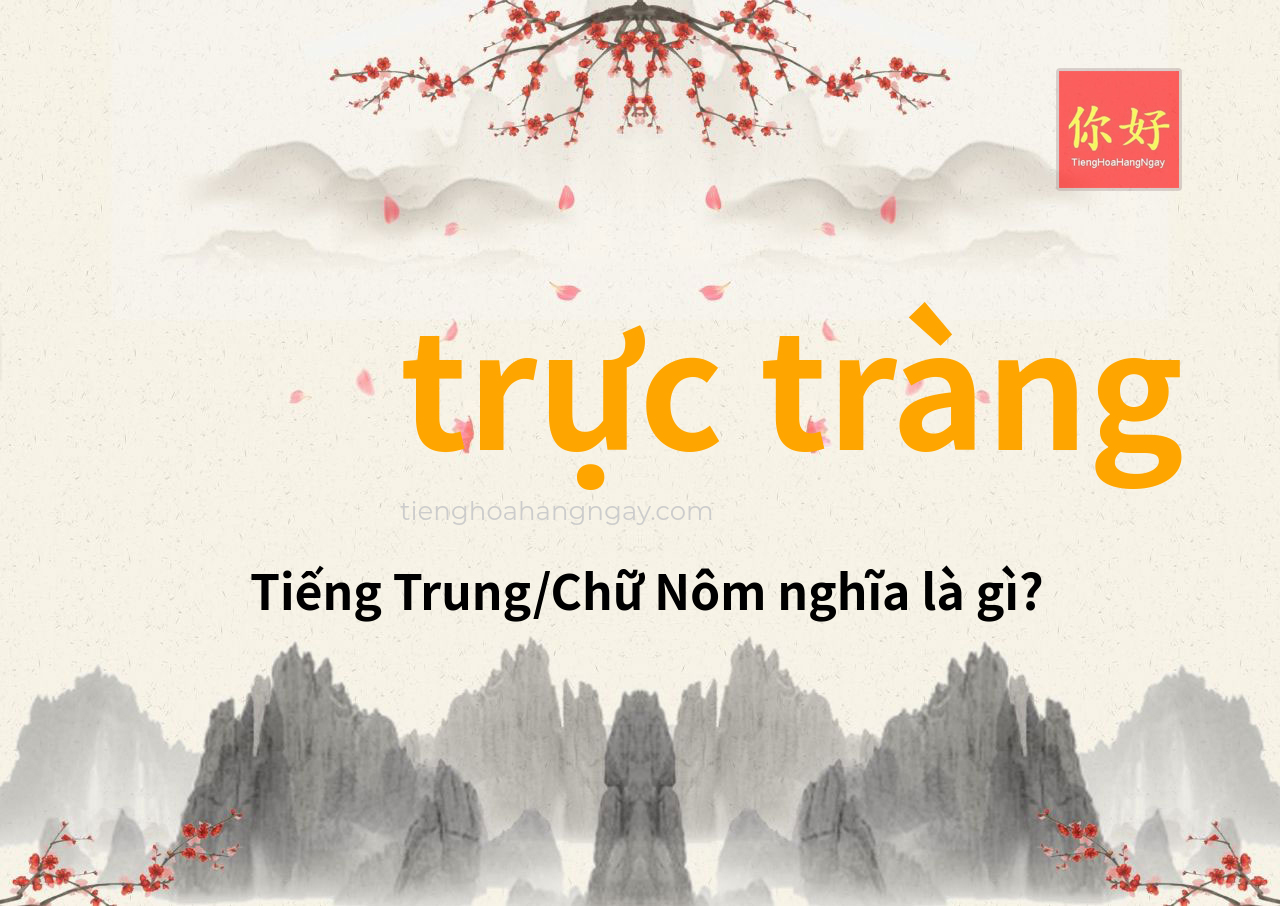 trực tràng tiếng Trung là gì?